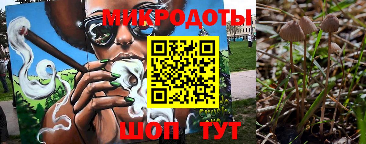 Нефтеюганск  Псилоцибиновые грибы Psilocybine cubensis  Вход с VPN  Псилоцибиновые грибы Cubensis 
